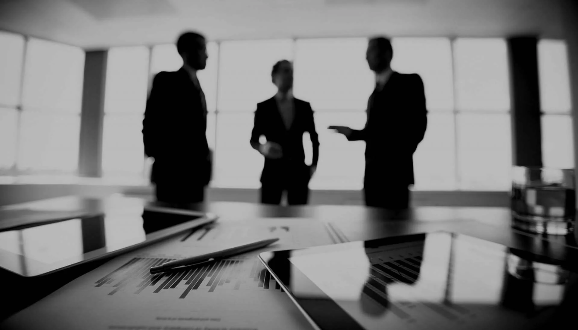 Professional Investigation Services
