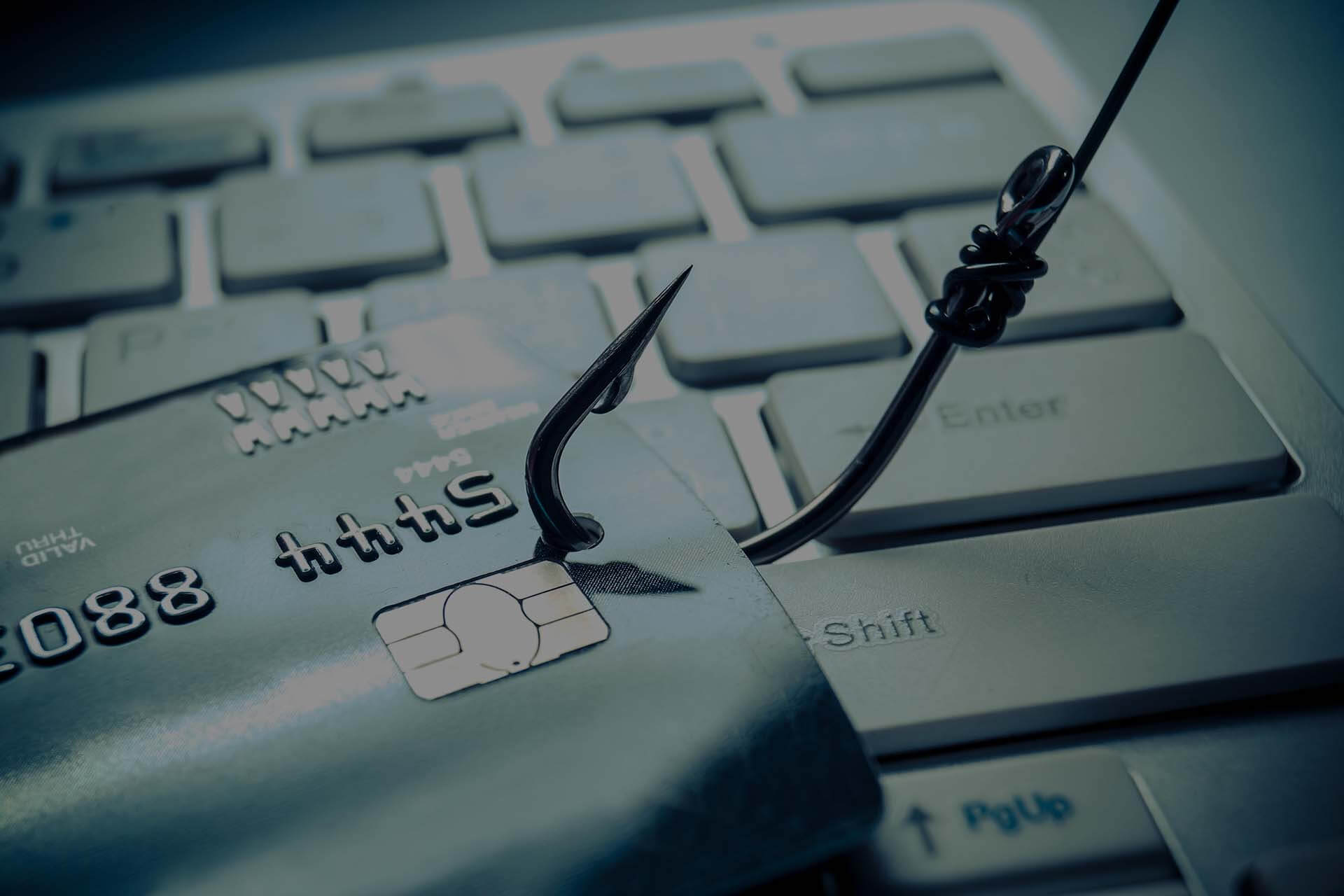 Identity Theft & Fraud