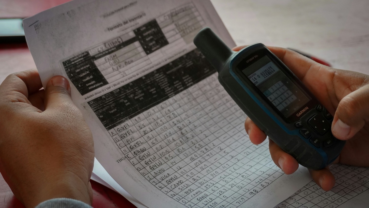 What is Data Forensics?